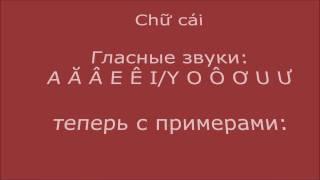 Звуки вьетнамского алфавита с примерами - гласные