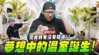 【植物日記】夢想中的溫室誕生!究竟我有沒有投資!! #鹿角蕨 #黃小潔 #觀葉植物｜Mr.Joe Hobby.tv