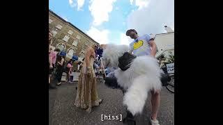 Double-tap Hiss of the Day 93! 