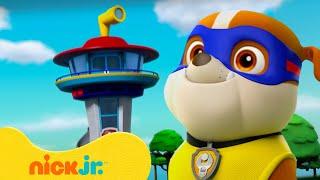 Rubble & PAW Patrol Wachturmsrettungen! | mit Chase, Rocky | 90-Minuten| Nick Jr. Deutschland