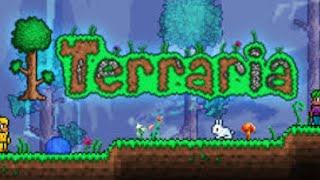 Playing Terraria