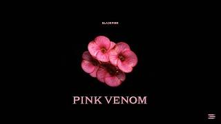 BLACKPINK - Pink Venom Piano Cover