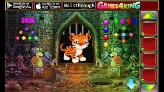 G4K Cute Tiger Cub Rescue walkthrough Games4King.