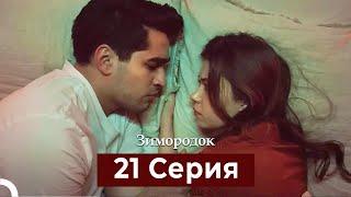 Зимородок 21 Cерия (Русский дубляж)