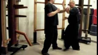 Master Jerry Cook Chinese Boxing 18 set Budda Palm / Wing Chun form8