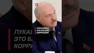 Лукашенко: Это бардак, коррупция! #лукашенко #политика #беларусь #новости #коррупция #батька