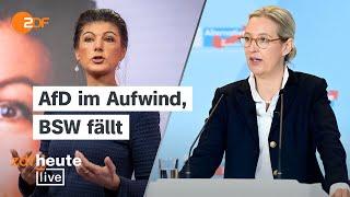 Warum die AfD mehr Zustimmung bekommt und das BSW hinten liegt | ZDFheute live