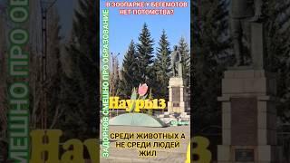 ВЫ ПРИДУРКИ  - ЭТО ДВЕ ДЕВОЧКИ? #юмор #честь #мудрость #смех #удачи #здоровье #задорнов #деньги