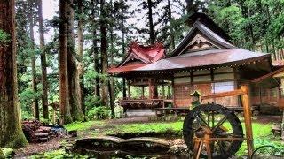 Cool Tours in Japan~!