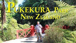 4K Pukekura Park. New Zealand 