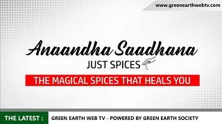 THE MAGICAL SPICES THAT HEALS YOU