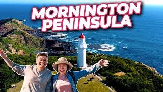 MORNINGTON PENINSULA, Victoria, Australia | Top Things To See and Do, Must Visit Attractions