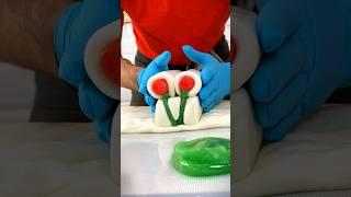 How Cherry  Designs Appear Inside Hard Candies (REVEALED) #asmr #funnyvideo #food #art