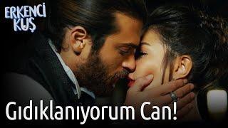 Erkenci Kuş | Gıdıklanıyorum Can