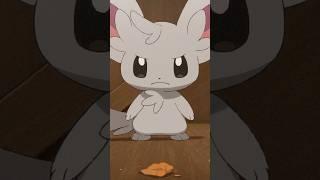 Poor Minccino  #pokemon #POKETOON