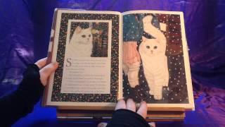 Santa's Snow Cat—Read Aloud Fun!