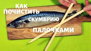 Как почистить Скумбрию палочками не разрезая брюшко How to peel mackerel with chopsticks