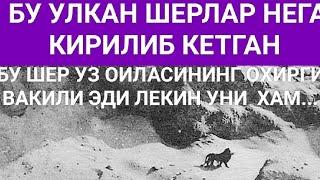 Энг Улкан ва Кирилиб Кетган Шерлар/Хайвонлар Хакида #хайвонлар_хакида