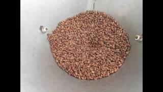 Oil Press KK20 grape seed