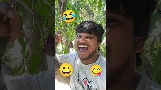funny desi vlog  #funny #shortsfeed #vlogs