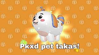 Pet takas ediyoruz! | Pkxd Türkçe| #keşfet #anasayfayacikar #aboneol #pkxdturkiye #kesfetolalim