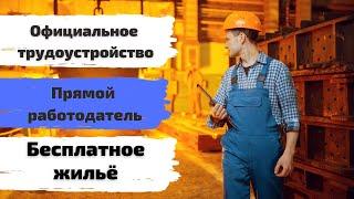 Работа в Чехии актуальная вакансия