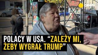 Polacy w USA. “Zależy mi, żeby wygrał Trump i zaprowadził ład”