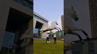 Arabian Horse: The Legend Behind Its Beauty