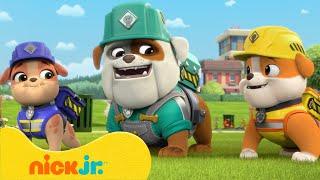 Rubble i jego Ekipa | Najsłodsze rodzinne chwile Rubble'a | 30 minut | Nick Jr. Polska