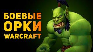 НАСКОЛЬКО РЕАЛЬНЫ БОЕВЫЕ ОРКИ WARCRAFT? | Ammunition Time