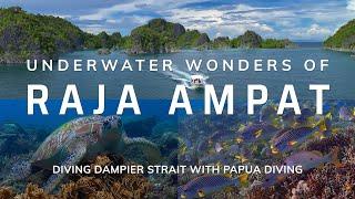Raja Ampat | Diving Dampier Strait with Papua Diving | 4K HDR | 2024
