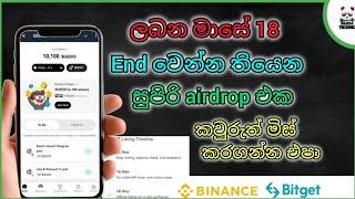 new telegram bot 2024 sinhala | geeks airdrop sinhala 2024 #binance #crypto