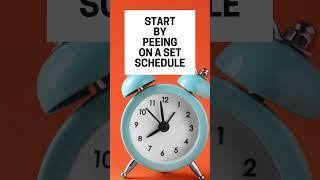 Bladder Training For Overactive Bladder And Urge Incontinence Treatment #bladderincontinence