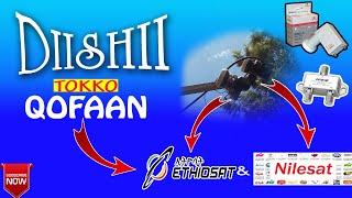 Ethiosat fi Nilesat walfaana diishii tokko qofaadhaan|Ethiodish|Oro dish|Ethiosat|dish installation