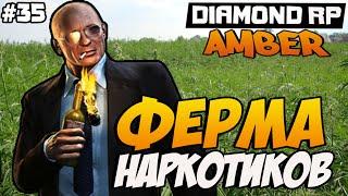 Diamond RP Amber [#35] Ферма наркотиков! [SAMP]