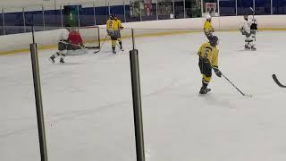 2021-11-19 A Div Sharks 4 - Penguins 6