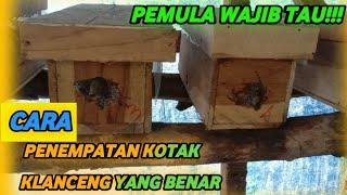 Cara penempatan kotak lebah Klanceng yang benar