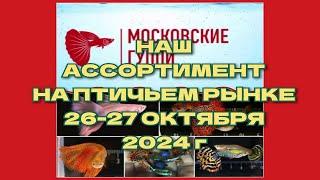 НАШ АССОРИМЕНТ НА ПТИЧЬЕМ РЫНКЕ 26-27 ОКТЯБРЯ 2024 года