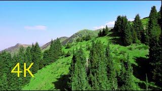 Горы Алматинской области. Mountains of Almaty region. Съемка с дрона.  Great Tien Shan Mountains