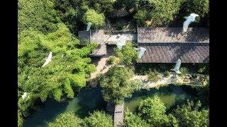 四川一家三口，住30畝森林，保護上萬隻珍貴的鳥兒 A family  in Sichuan protects tens of thousands of precious birds