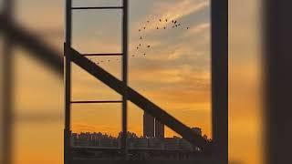 Junis - He remembers