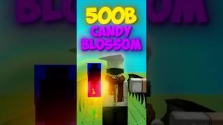 MOST EXPENSIVE CANDY BLOSSOM In GROW A GARDEN! #growagarden #roblox