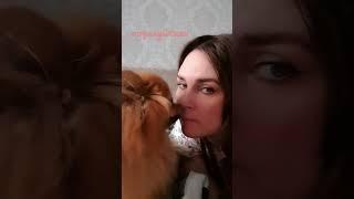 поцелуйчики️️️ #боня #лола