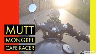 MUTT MONGREL CAFE RACER - CUSTOM