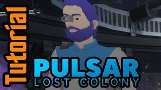 Pulsar Lost Colony: A Crash Course Tutorial