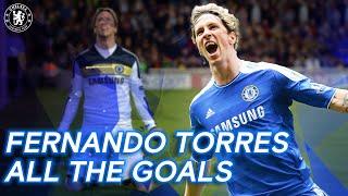 Fernando Torres - All the Goals! | Best Goals Compilation | Chelsea FC