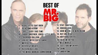 Best Of Mr. Big