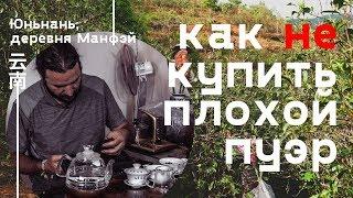 Как китайцы продают плохой чай пуэр. Юньнань, деревня Манфэй