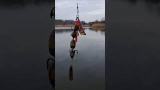 Fishing #superfish #carpfishing #fish