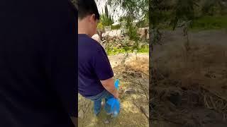 Selling chicken eggs in the rancho en Mexico ️️ #mexico #mexicanfood #mexicofood